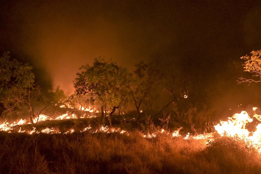 RECURSOS: Governo anuncia R$ 514 milhões para combater incêndios florestais