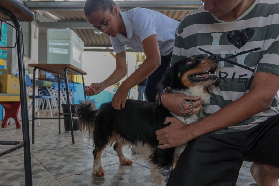 UTILIDADE PÚBLICA: Vacina contra a raiva para cães e gatos continua disponível em Porto Velho