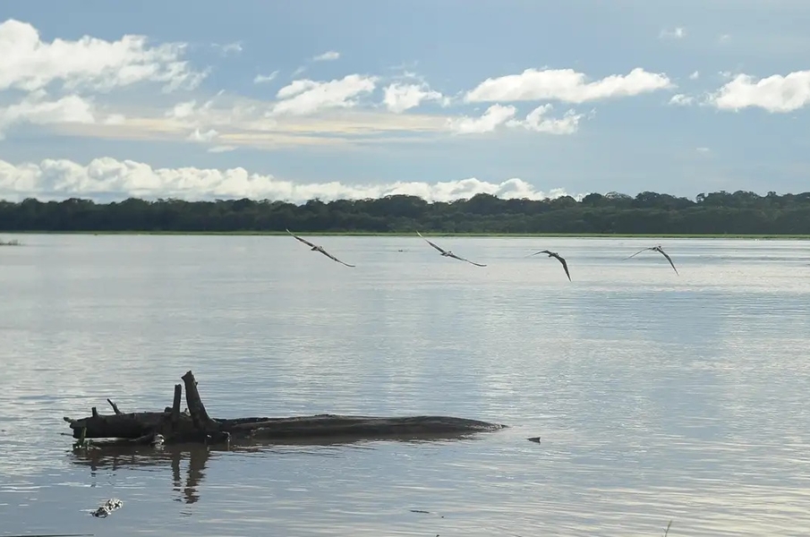 SECA: Governo paga auxílio para pescadores da Região Norte