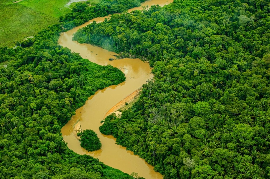 MEIO AMBIENTE: Rondônia é líder em controle de desmatamento na Amazônia Legal