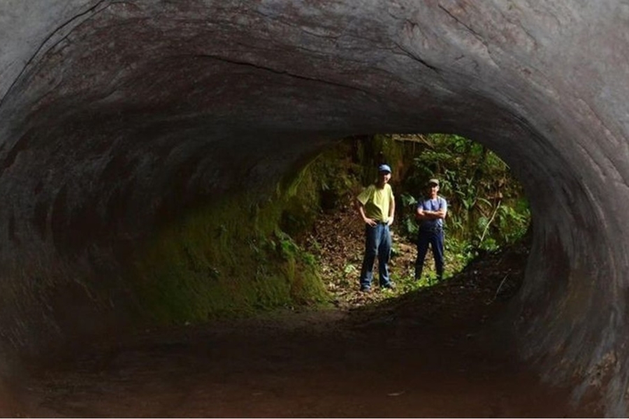 É NO BRASIL: Os misteriosos túneis cavados por preguiças-gigantes  