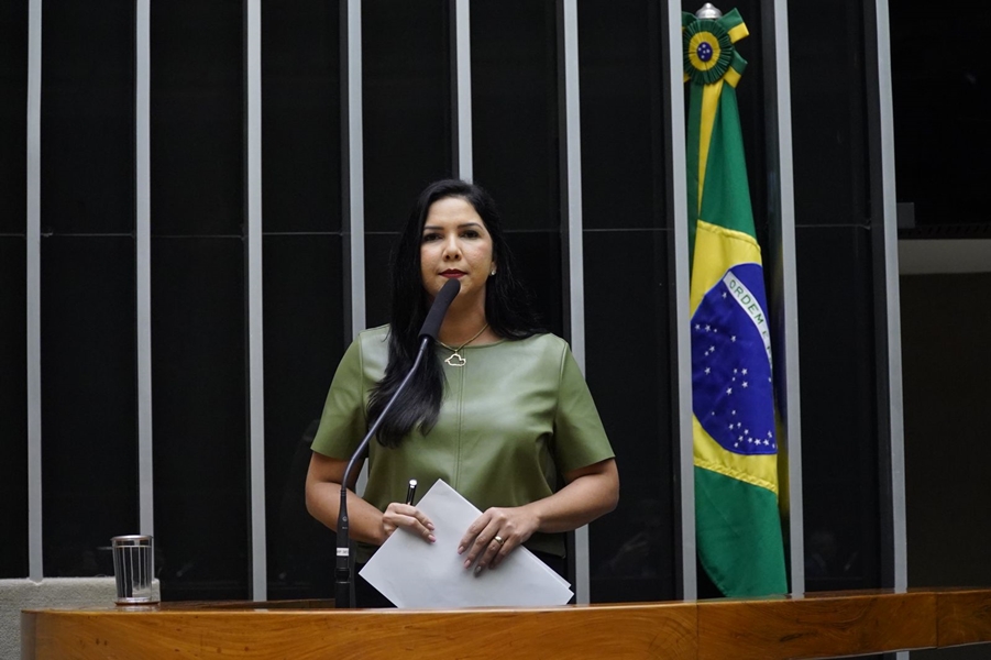 CRISTIANE LOPES: Deputada solicita recursos e apoio do Exército para combater a violência