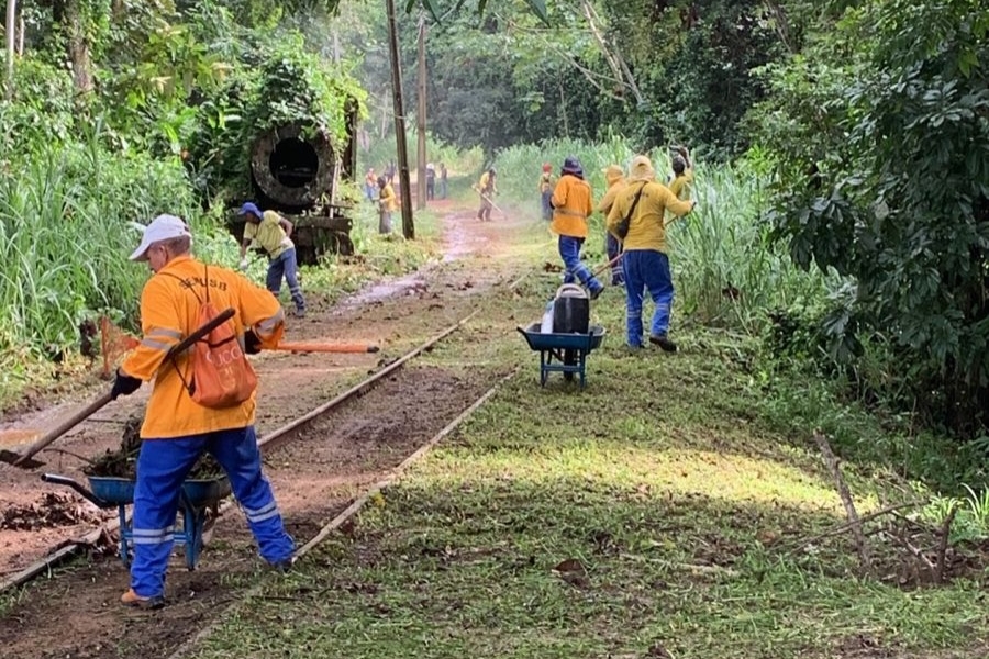 'CIDADE LIMPA': Operação realiza mutirão na estrada de acesso e Cemitério da Candelária