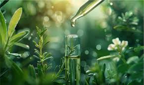 AMAZÔNIA: Finep amplia acesso a R$ 100 milhões para bioeconomia  