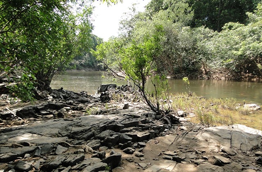 MANEJO SUSTENTÁVEL: Concessão da Flona do Jatuarana atrai investimentos privados