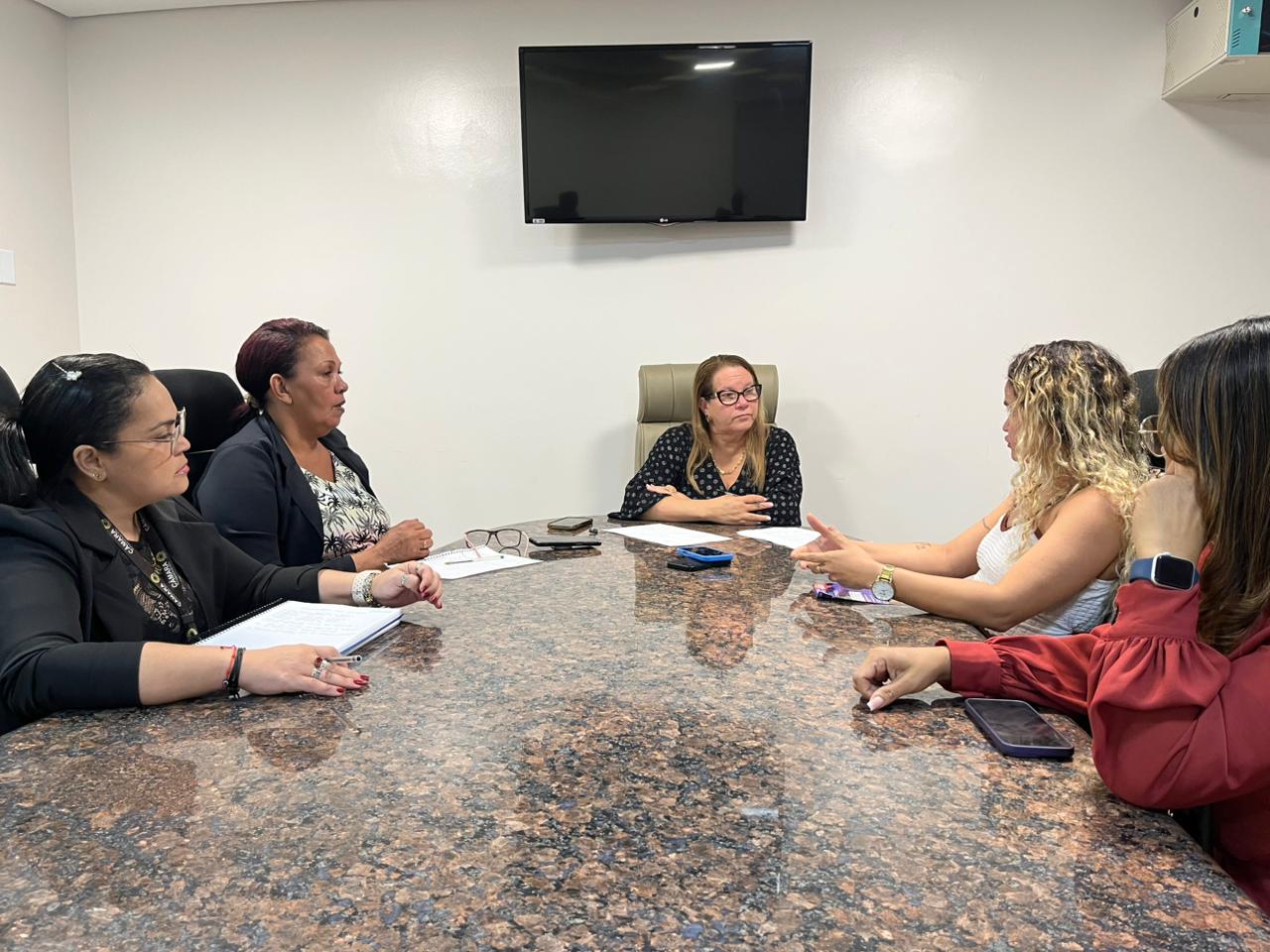 ELLIS REGINA: Subprocuradoria da Mulher debate calendário de atividades para o 'Agosto Lilás'