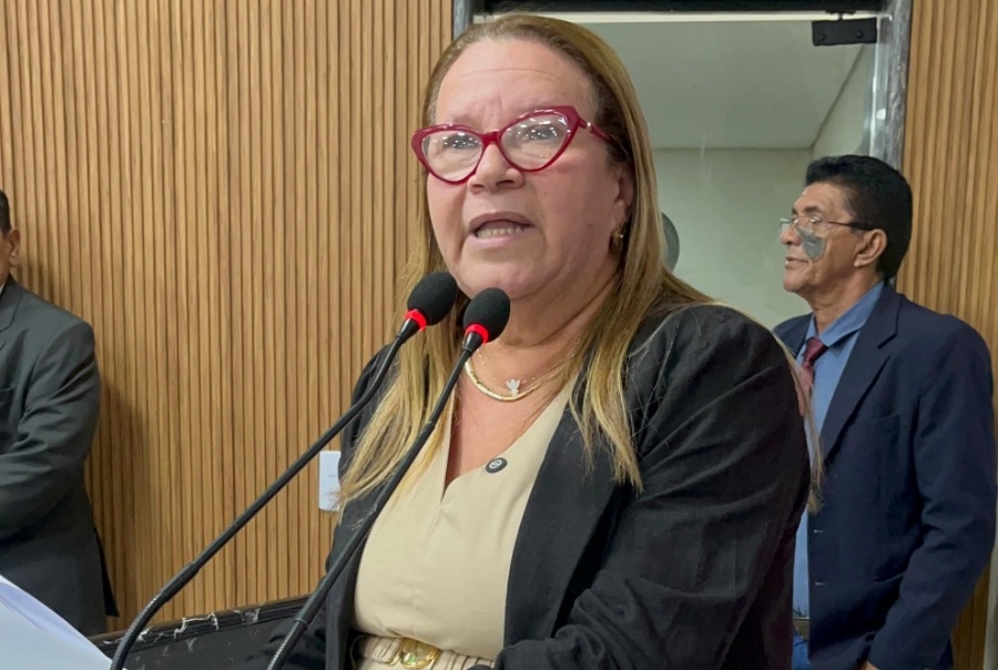 ELLIS REGINA: Vereadora defende servidores e fala sobre Política de Segurança e Saúde 
