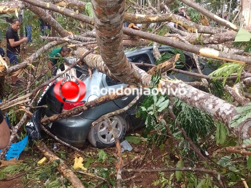 GRAVE: Temporal derruba árvore em cima de carro e deixa feridos durante cavalgada