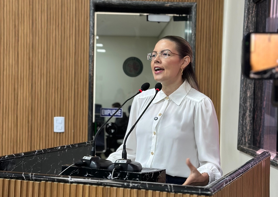 SOFIA ANDRADE: Projeto que combate poluição visual é aprovado na Câmara de PVH