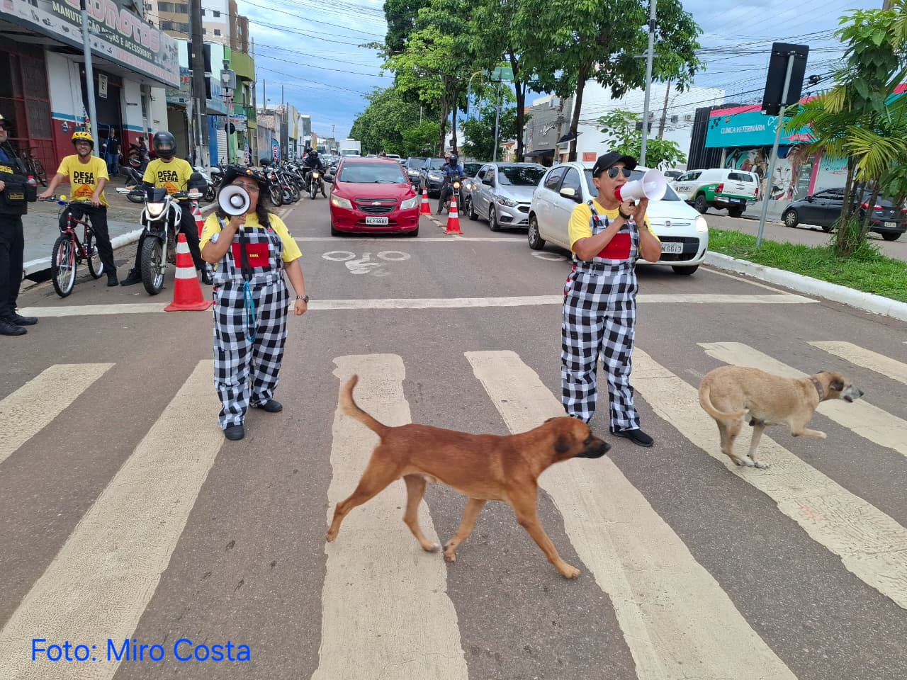 CENA INUSITADA: Até os caramelos aprenderam a aula trânsito com a equipe do Detran