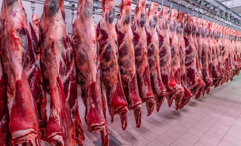 NOVO MERCADO: Vietnã aprova dois frigoríficos de Rondônia para exportação de carne bovina 