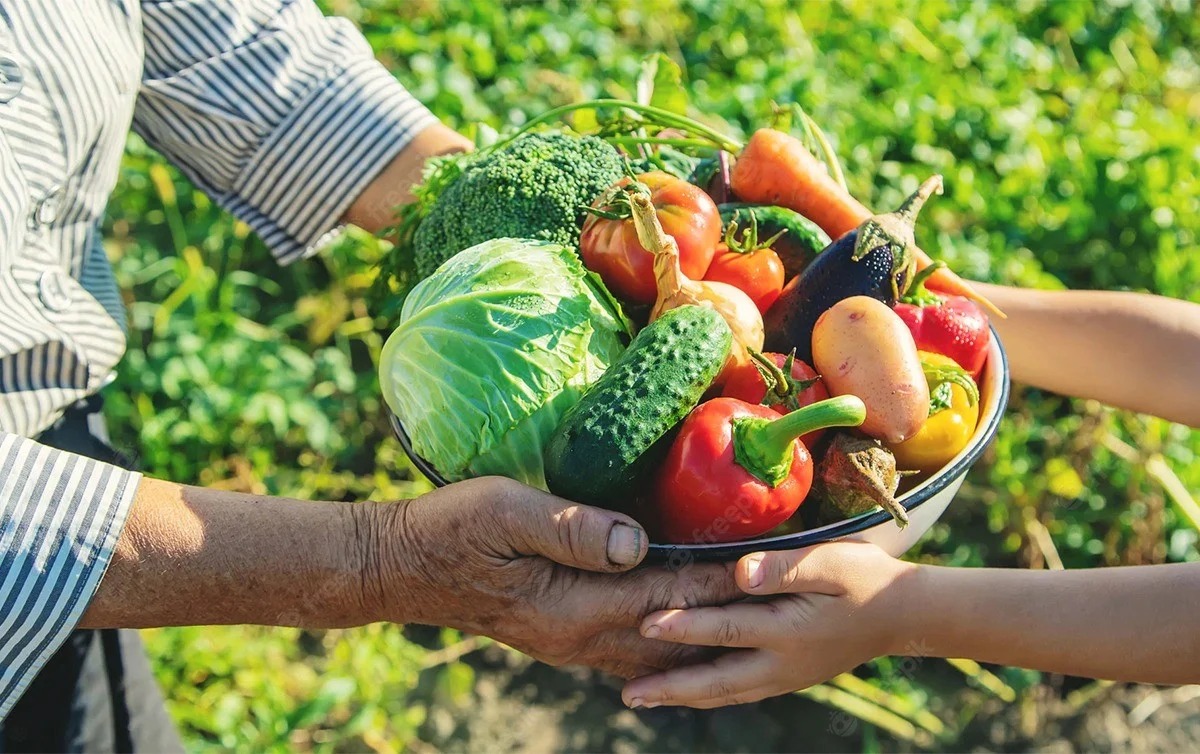 INCENTIVOS: Rondônia é parte do Plano Safra da Agricultura Familiar