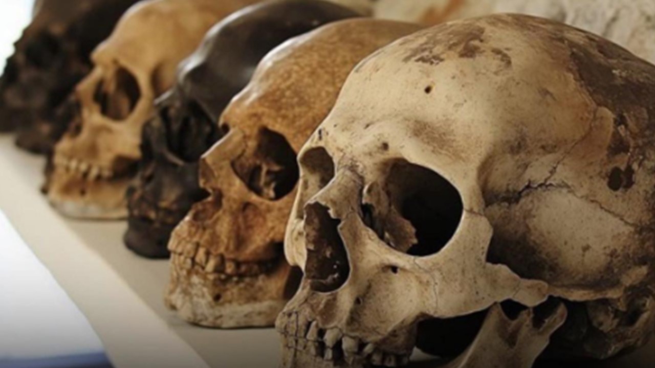 HÁ 800 MIL ANOS: Estudo de DNA revela que os humanos quase desapareceram em evento trágico