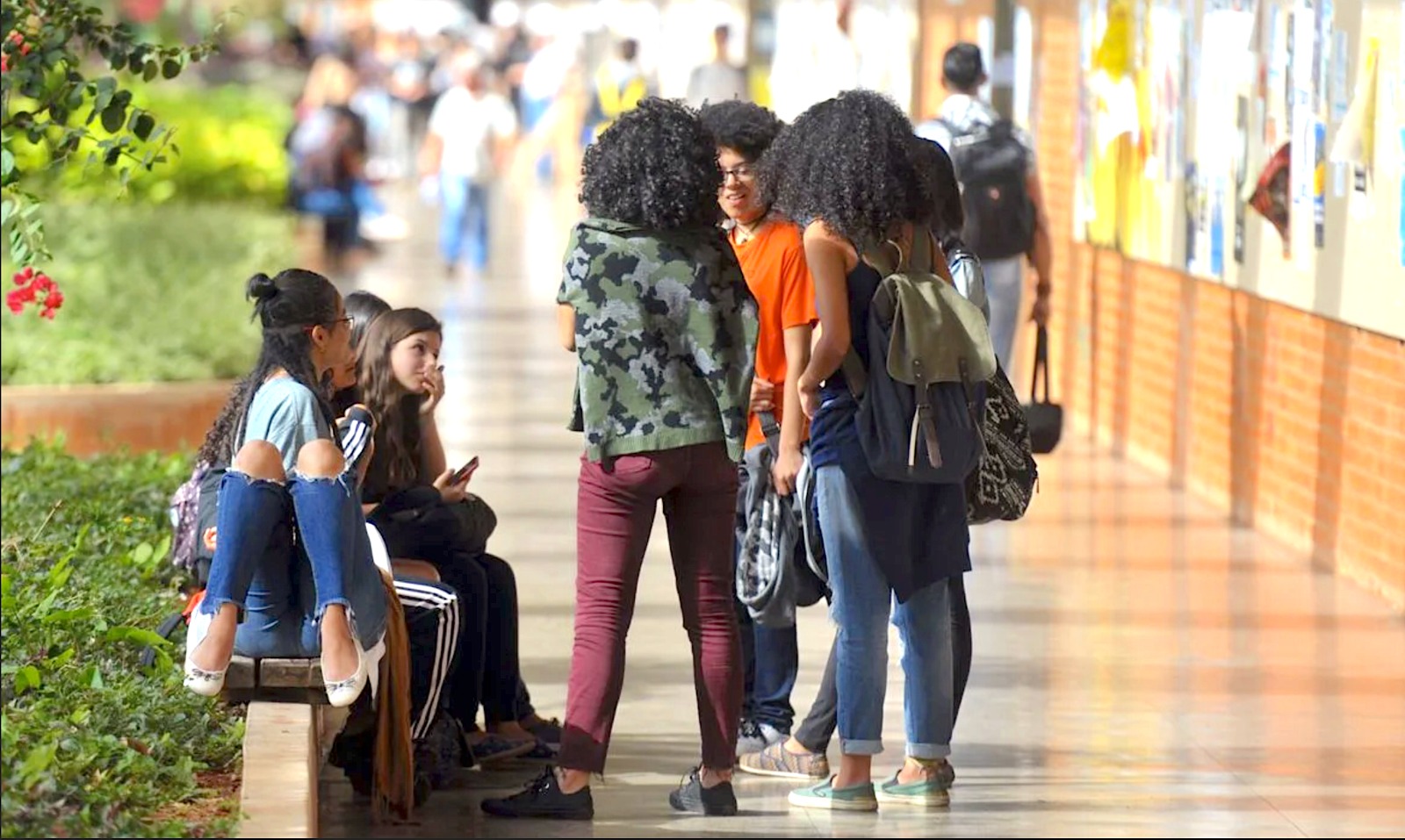 MINIMA DE 20%: TCU aponta falhas após dez anos de cotas em concursos federais