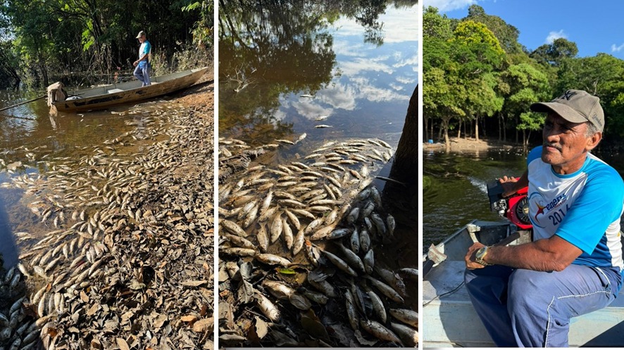 RESERVA DO CUNIÃ: Choque térmico por friagem mata peixes e ameaça sustento de famílias ribeirinhas
