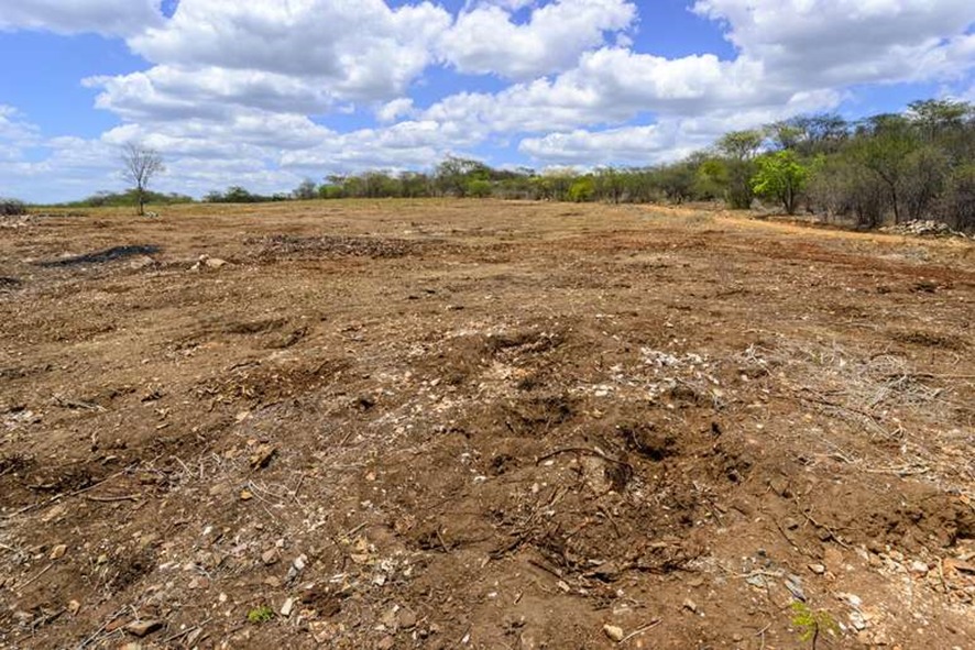 DESERTIFICAÇÃO: Brasil tem primeira área reclassificada como árida e Amazônia acende alerta