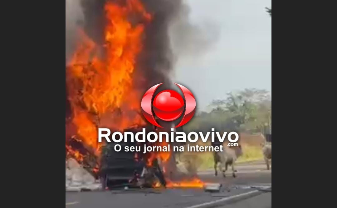  VÍDEO: Carretas batem de frente e explodem na BR-364