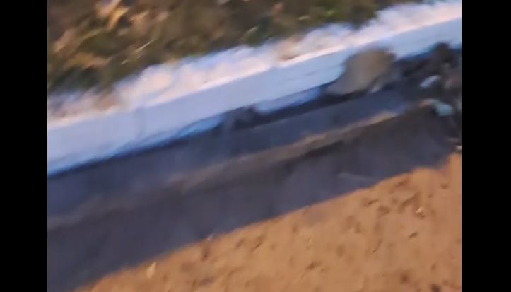 CHUPINGUAIA: Homem de 52 anos é morto a pauladas em praça