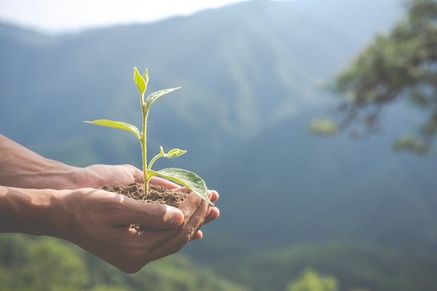 RIGOR JURÍDICO: Nova lei de licenciamento ambiental exige cautela enquanto STF analisa regras 