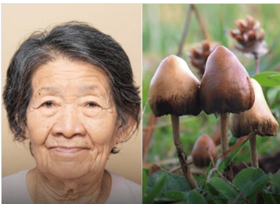 PSILOCIBINA: Mulher com Alzheimer avançado começou a andar e falar e relembrou memórias  