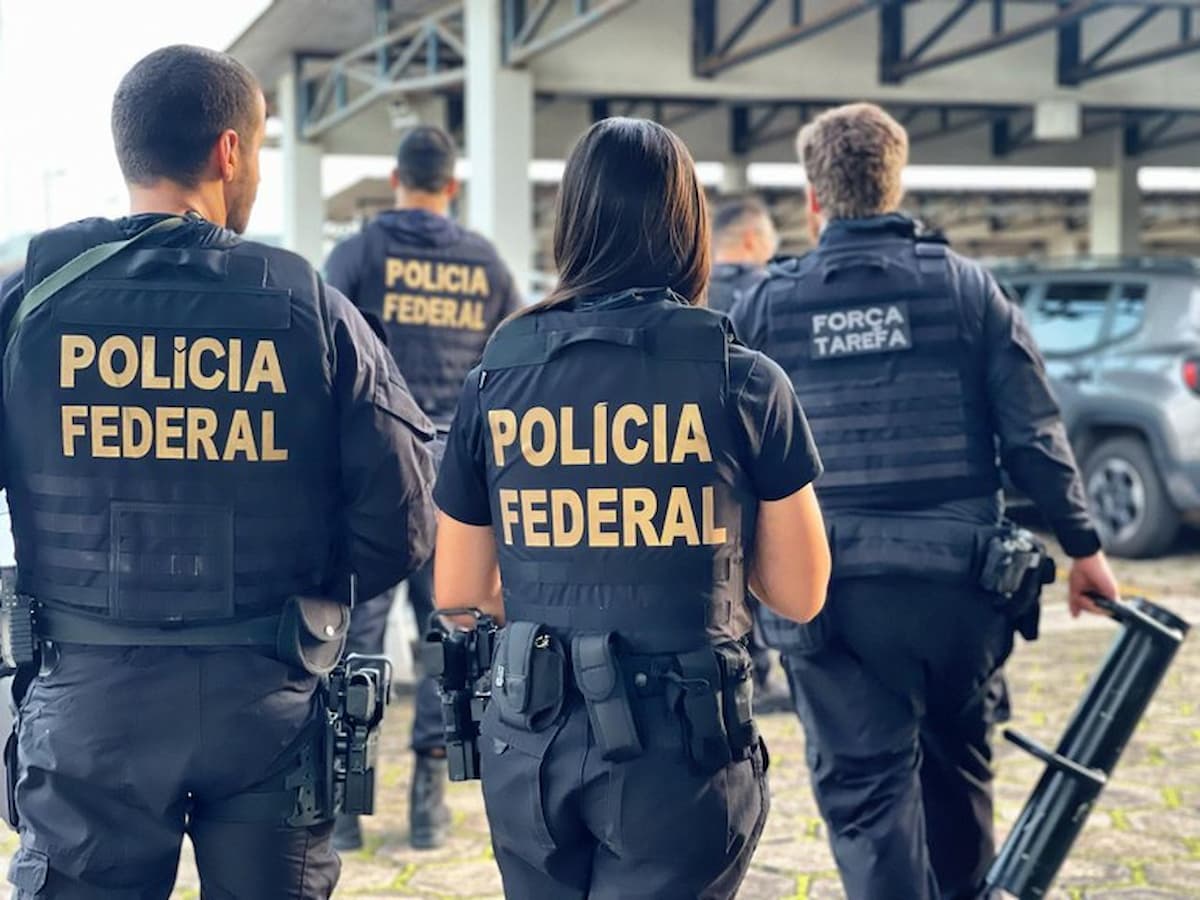 EM RONDÔNIA: PF mobiliza 76 agentes e cumpre 19 mandados contra extração ilegal de madeira