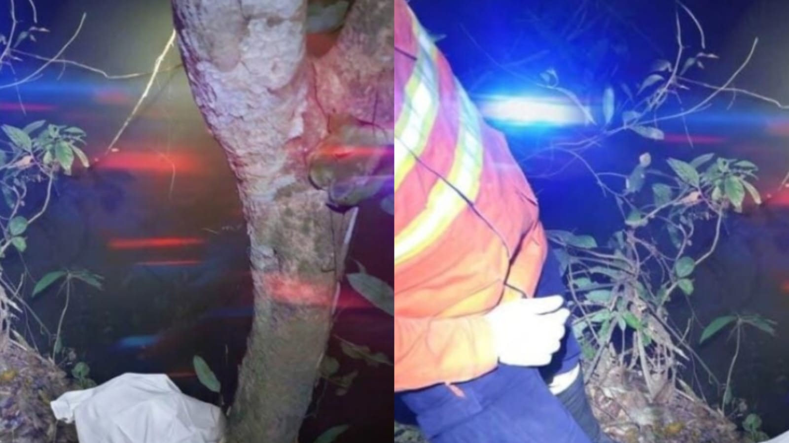 TRAGÉDIA: Jovem morre afogado enquanto se divertia em rio 
