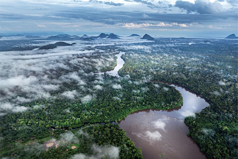 RECURSOS DA FLORESTA: Bioeconomia na Amazônia cresce 585% em oito anos, aponta estudo