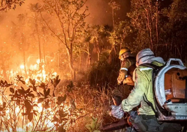 FOGO NA AMAZÔNIA: Fumaça sufoca Manaus e ministro suspeita de incêndios criminosos no Amazonas