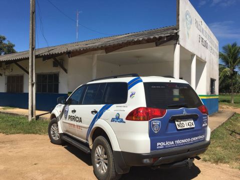 FATALIDADE: Idoso morre durante derrubada de árvore em Rondônia