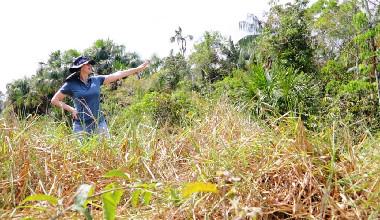 AMBIENTE: Aterro tem nascente preservada