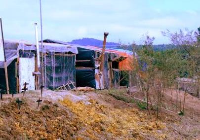 CONFLITO: Homem é executado com tiro de chumbeira em assentamento de sem-terra