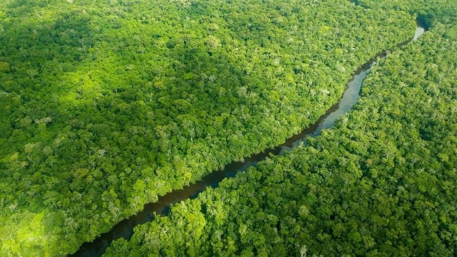 MEIO AMBIENTE: Noruega bloqueia repasse de R$ 134 mi para preservação da Amazônia