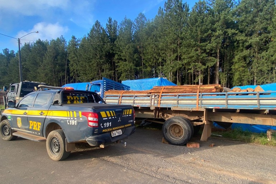 MADEIRA ILEGAL: PRF identifica transporte irregular de madeira