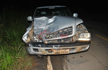 JI-PARANÁ - Animal solto na pista causa acidente na RO 135 - Fotos