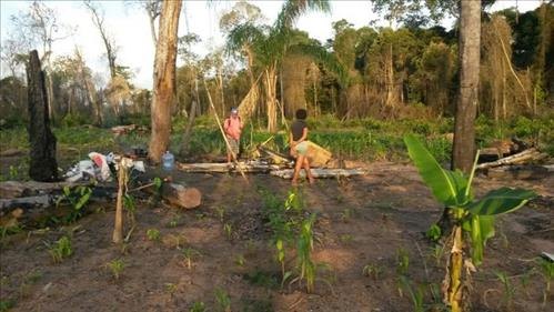 Mulher denuncia invasão e desmatamento praticado por sem-terra 