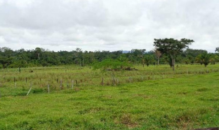 DECISÃO DO TRF1: Disputa entre posseiros em área da Fazenda Urupá deve ser julgada pela Justiça