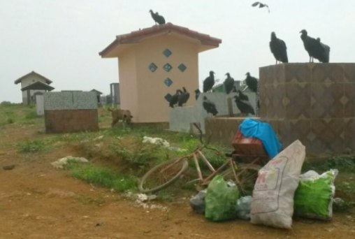 Cemitério  também é utilizado como lixão pela prefeitura