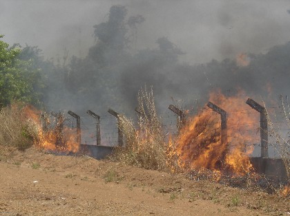 Incêndio no Espaço Alternativo destrói vegetação em terreno da Aeronáutica - Foto