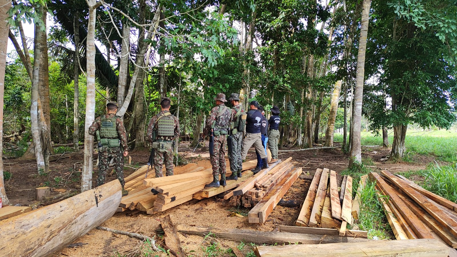 CRIME AMBIENTAL: Operação combate ações criminosas que causaram prejuízos de R$ 19 milhões 