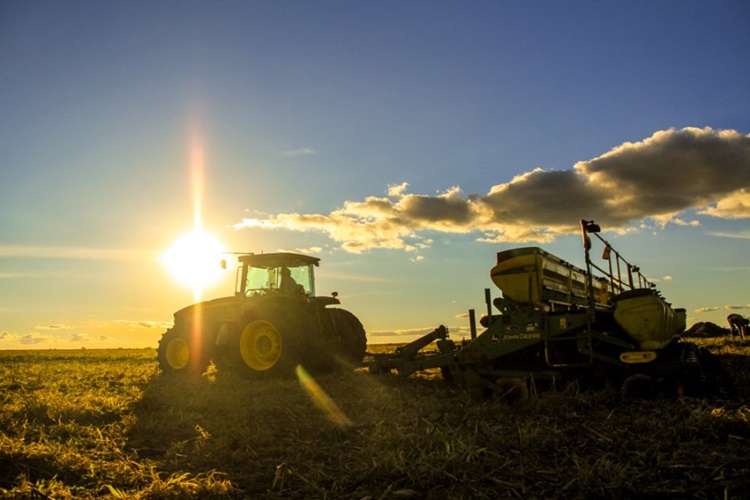 DADOS: Valor bruto da produção agropecuária deve ter alta de 12,4% em 2020