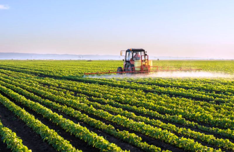 1º SEMESTRE: Embrapa disponibiliza análise de dados agropecuários de Rondônia 