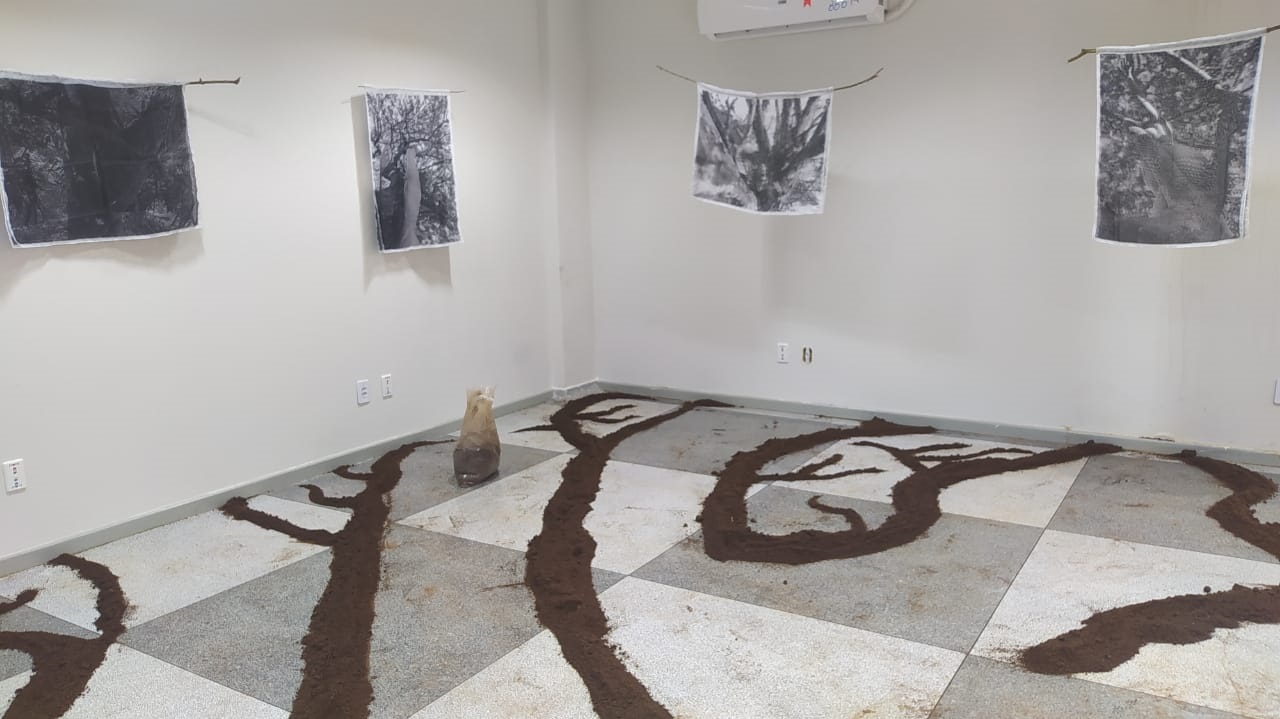 FOTOGRAFIA: Andrea Melo apresenta a exposição ‘Corpo Árvore’ na Galeria de Arte da Unir