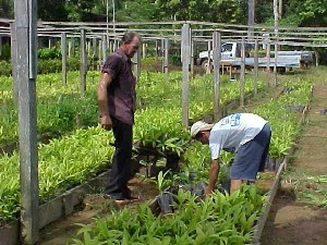 Embrapa de Rondônia participa de Projeto do PNUD em Mato Grosso