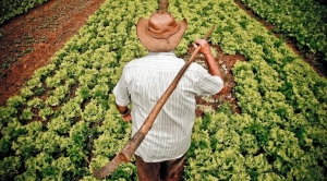 RECURSOS: Terra legal aponta recursos superiores a R$ 5 milhões para regularização