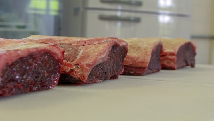 PESQUISA: Embalagem permeável é opção promissora para carne maturada a seco