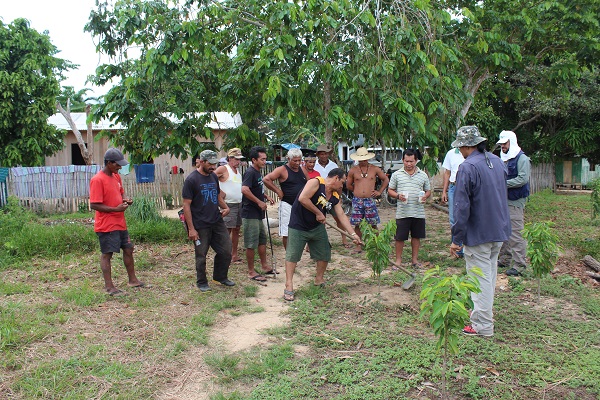 MELHORIAS: Projeto investe agricultura na terra indígena Poyanawa