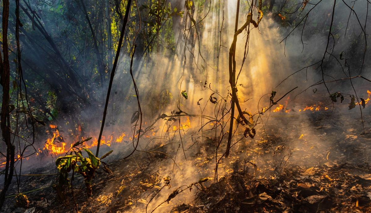 FOGO: MP-RO vai acompanhar ações de combate à queimadas em Rondônia