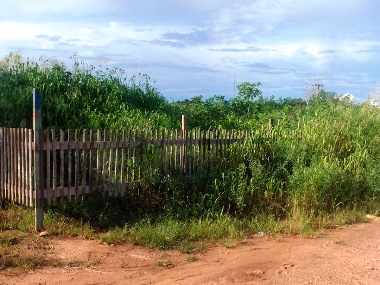 Terrenos Baldios em Ji-Paraná causam medo nos moradores de bairro carente