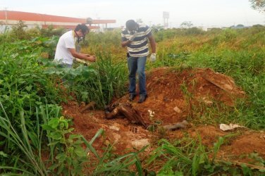 Identificado cadáver encontrado em matagal próximo ao 5º BPM