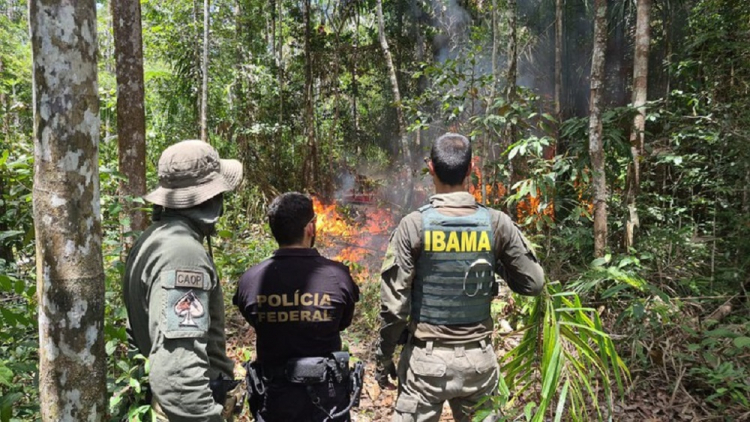 VARREDURA FUNDIÁRIA: Fiscalização rigorosa em 31 mil propriedades rurais na Amazônia Legal